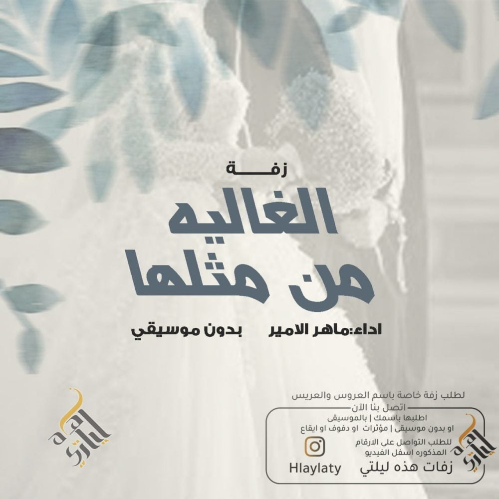 IMG_20221126_191219_466