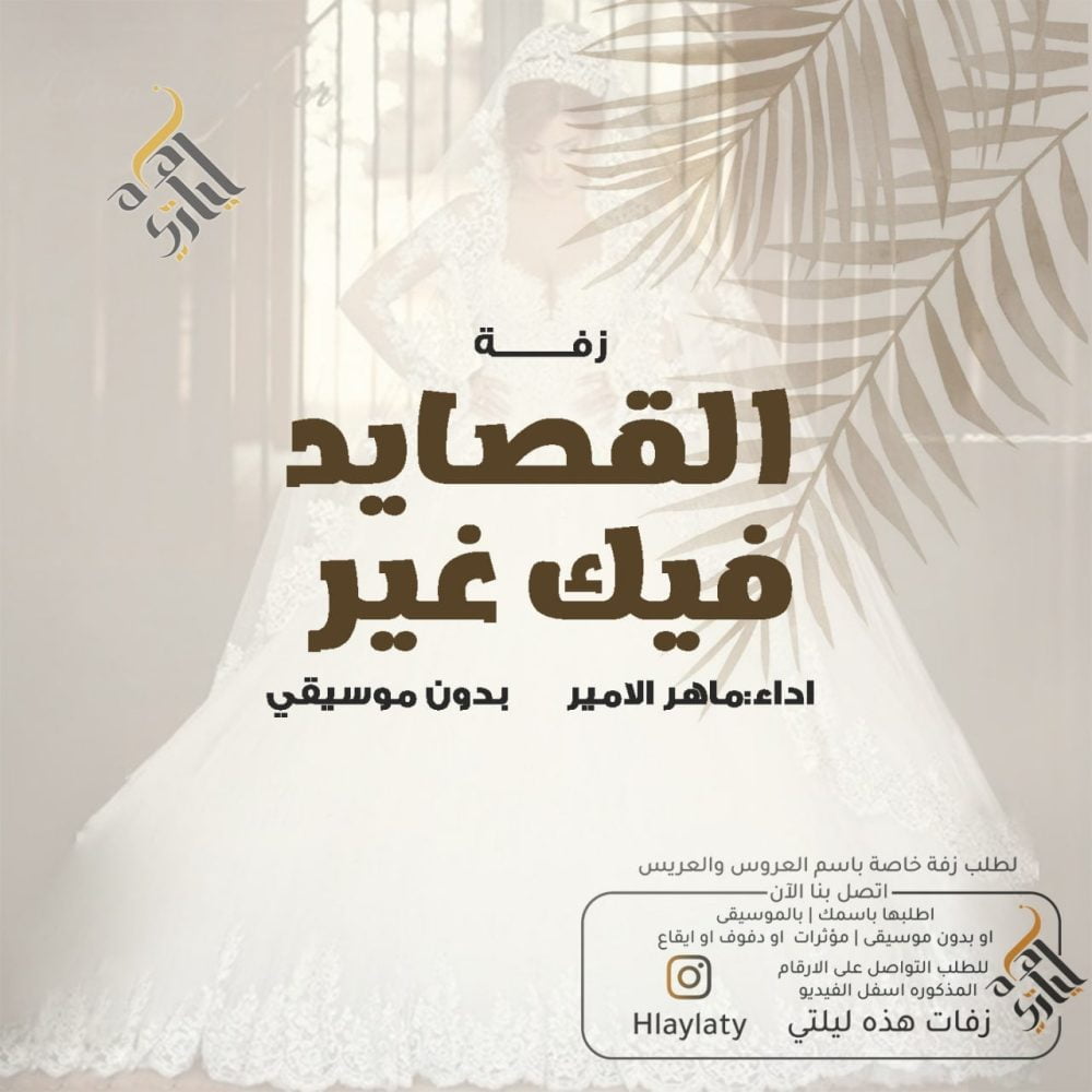 IMG_20221126_191219_483