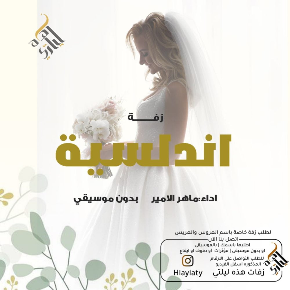 IMG_20221126_191525_479