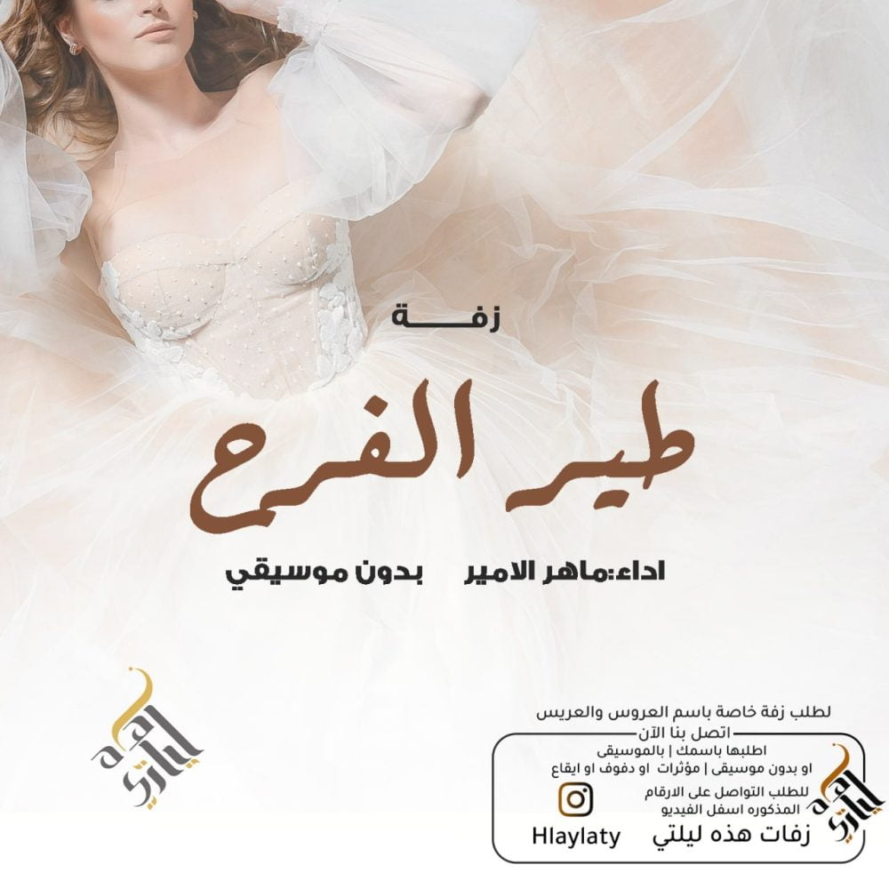 IMG_20221126_191627_616